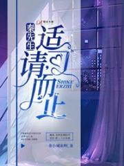 沈先生适可而止免费阅读