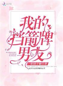 我的挡箭牌哪里不对skyrian