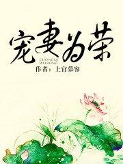 宠妻为荣txt