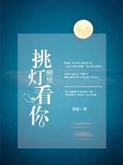 醉里挑灯看你第十二章