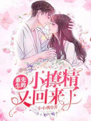 慕先生的小撩精又回来了正版