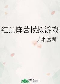 红黑阵营模拟游戏观影体整理