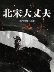 北宋大丈夫沈安娶了几个