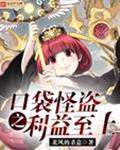 口袋之旅怪盗的谜底