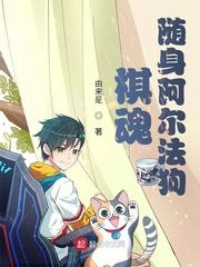 棋魂随身阿尔法狗 顶点