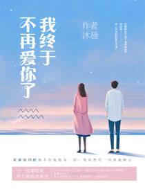 我终于不再爱你了全文
