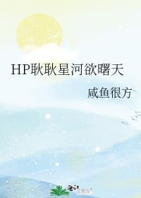 耿耿星河欲曙天电视剧