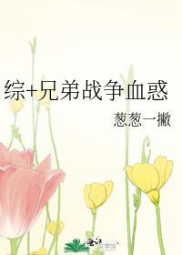 兄弟战争同人晋江