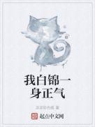 我白锦一身正气笔趣阁