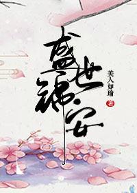 盛世锦安重生