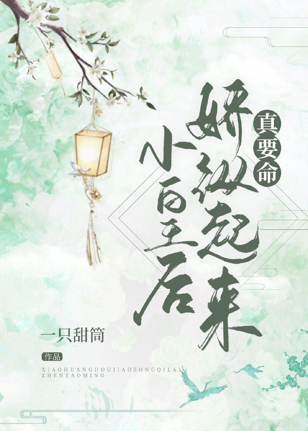 小皇后乖乖让朕爱电视剧
