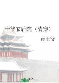 清穿十爷
