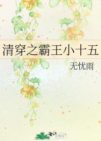 清穿之霸王小十五 作者无忧雨