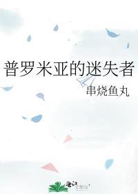 普罗米亚解析