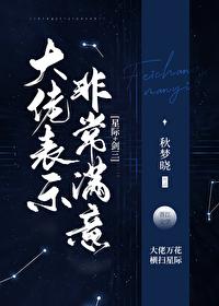 大佬表示非常满意