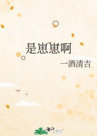 崽崽什么意思