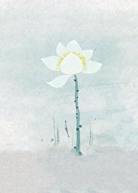 穿越成美强惨的白莲师尊