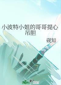 小波特受了什么伤
