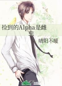 捡到一只alpha怎么办