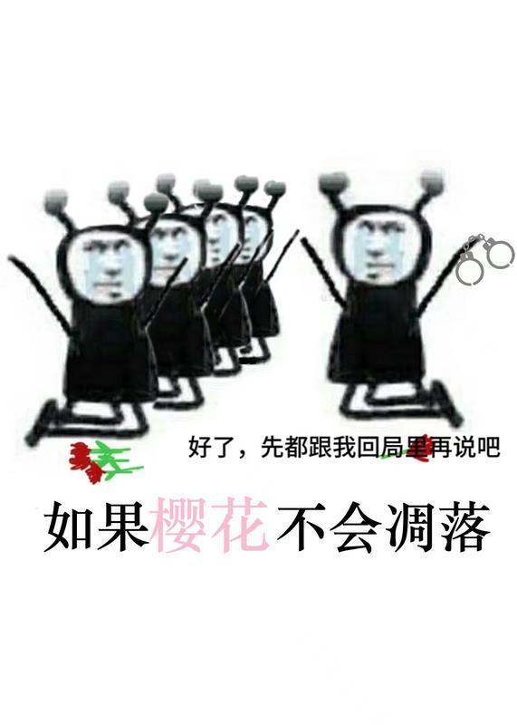 如果樱花凋落 百度