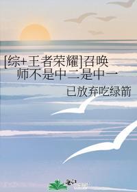王者荣耀之我是召唤师