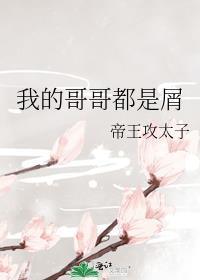 我的哥哥都是屑TXT