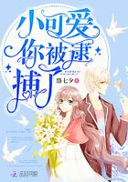 小可爱你被逮了txt