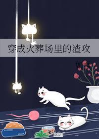 穿成火葬场里的渣攻 作者如吾