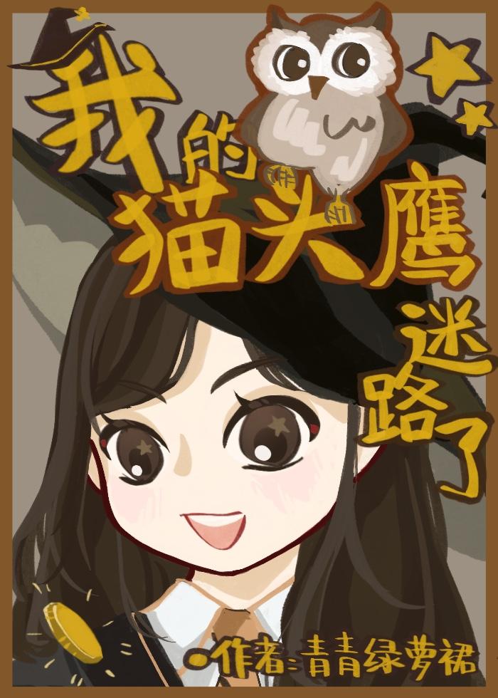 HP我的猫头鹰迷路了