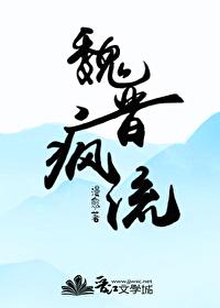 魏晋疯流为什么不更新了
