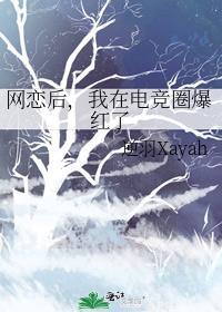 网恋后我在电竞圈爆红了