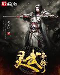 灵武之巅