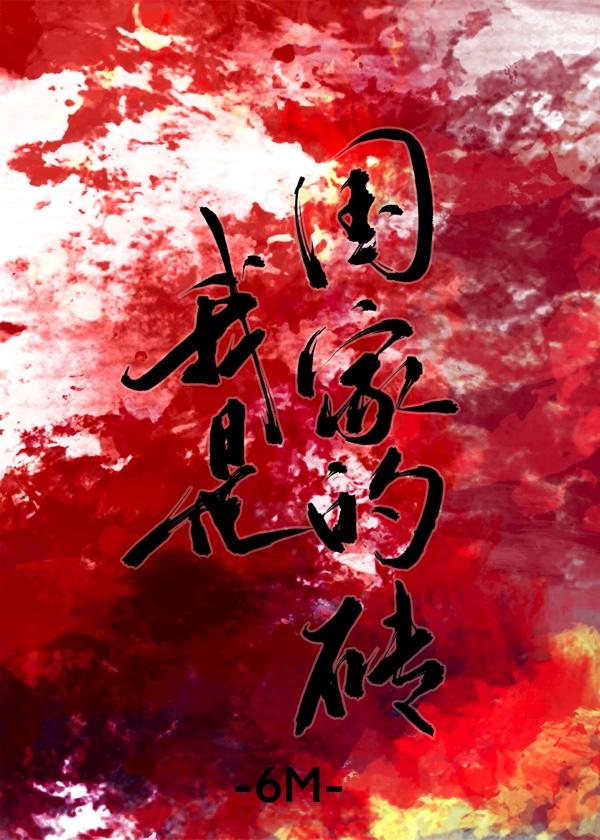 我是国家的砖全文免费