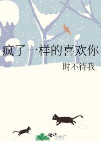 疯了一样的喜欢你by时不待我TXT