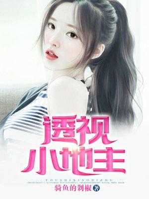 透视小地主短局