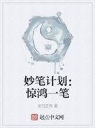 惊鸿一件是什么意思