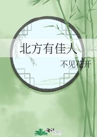 北方有佳人电视剧剧情介绍