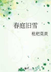 春庭雪古筝曲