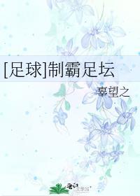 万达足球退出足坛