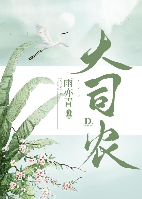 大司农 素衫清韵