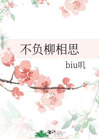 不负相思啥意思