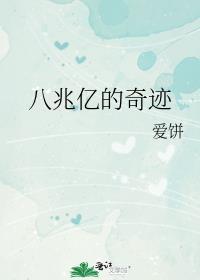 八兆亿的奇迹是什么