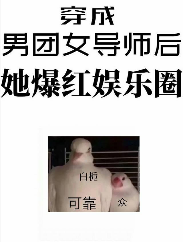 穿成男团选拔赛的女导师
