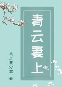 青云妻上封上上应青云