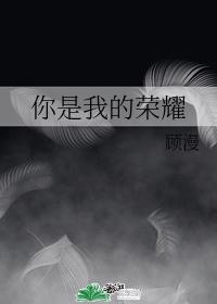 你是我的荣耀豆瓣评分