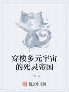 穿梭多元宇宙的死灵帝国 十七筝