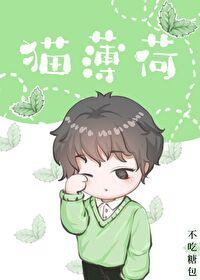 猫薄荷到底是什么东西