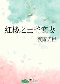 红楼之王爷宠妻
