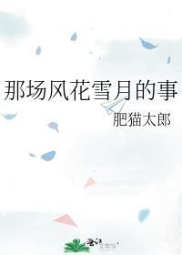 那场风花雪月的事