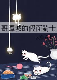 哥谭城的假面骑士